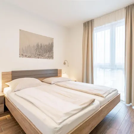 Apartamento Emma 2 Dienten am Hochkönig